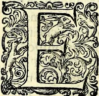 An illustration from Delle imprese trattato (1592)