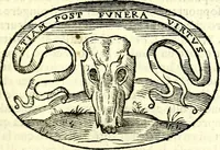 An illustration from Delle imprese trattato (1592)