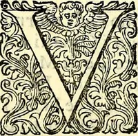 An illustration from Delle imprese trattato (1592)