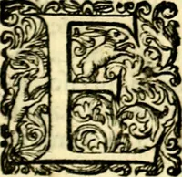 An illustration from Delle imprese trattato (1592)
