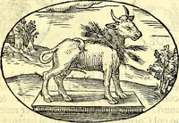 An illustration from Delle imprese trattato (1592)