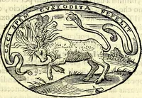 An illustration from Delle imprese trattato (1592)