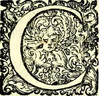 An illustration from Delle imprese trattato (1592)
