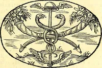 An illustration from Delle imprese trattato (1592)