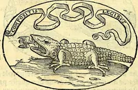 An illustration from Delle imprese trattato (1592)