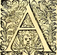 An illustration from Delle imprese trattato (1592)