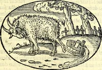 An illustration from Delle imprese trattato (1592)