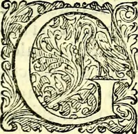 An illustration from Delle imprese trattato (1592)