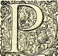 An illustration from Delle imprese trattato (1592)