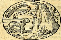 An illustration from Delle imprese trattato (1592)