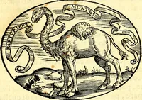An illustration from Delle imprese trattato (1592)