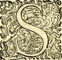 An illustration from Delle imprese trattato (1592)