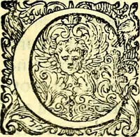 An illustration from Delle imprese trattato (1592)