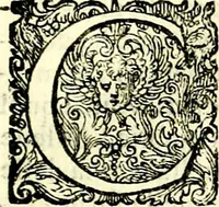An illustration from Delle imprese trattato (1592)