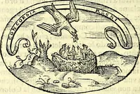 An illustration from Delle imprese trattato (1592)