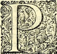 An illustration from Delle imprese trattato (1592)