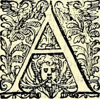 An illustration from Delle imprese trattato (1592)