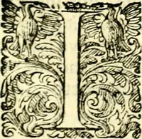 An illustration from Delle imprese trattato (1592)