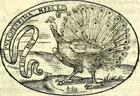 An illustration from Delle imprese trattato (1592)