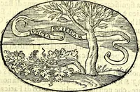An illustration from Delle imprese trattato (1592)