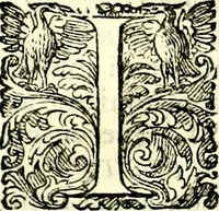 An illustration from Delle imprese trattato (1592)