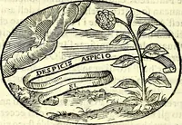 An illustration from Delle imprese trattato (1592)