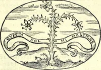An illustration from Delle imprese trattato (1592)