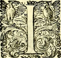 An illustration from Delle imprese trattato (1592)