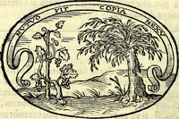 An illustration from Delle imprese trattato (1592)
