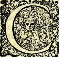 An illustration from Delle imprese trattato (1592)