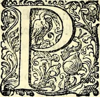 An illustration from Delle imprese trattato (1592)