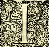 An illustration from Delle imprese trattato (1592)