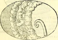 An illustration from Delle imprese trattato (1592)