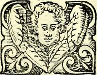 An illustration from Delle imprese trattato (1592)