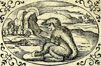 An illustration from Delle imprese trattato (1592)
