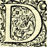 An illustration from Delle imprese trattato (1592)