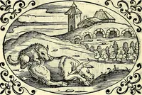 An illustration from Delle imprese trattato (1592)