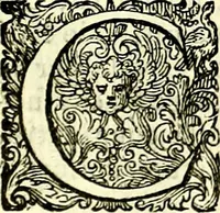 An illustration from Delle imprese trattato (1592)