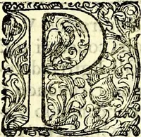 An illustration from Delle imprese trattato (1592)