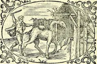 An illustration from Delle imprese trattato (1592)