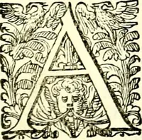 An illustration from Delle imprese trattato (1592)