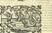 An illustration from Delle imprese trattato (1592)