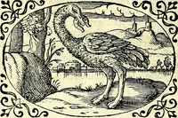An illustration from Delle imprese trattato (1592)