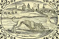 An illustration from Delle imprese trattato (1592)