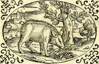 An illustration from Delle imprese trattato (1592)