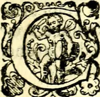An illustration from Delle imprese trattato (1592)