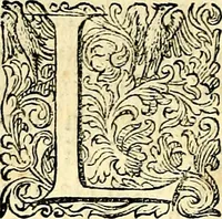 An illustration from Delle imprese trattato (1592)