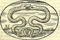 An illustration from Delle imprese trattato (1592)