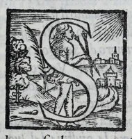 Picture 6 of 9 from Delle lettere di m. Pietro Bembo ... primo[-secondo] volvme (1560), leaf 213