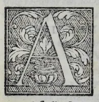 An illustration from Delle lettere di m. Pietro Bembo ... primo[-secondo] volvme (1560)